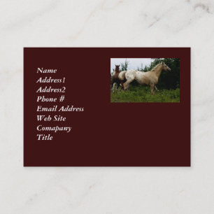 Appaloosa Horse Business Card