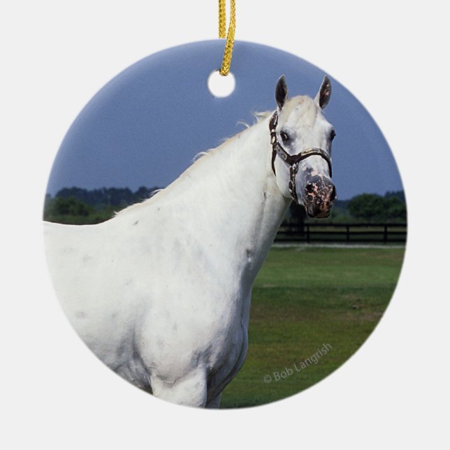 Appaloosa Horse Ceramic Tree Decoration (Front)