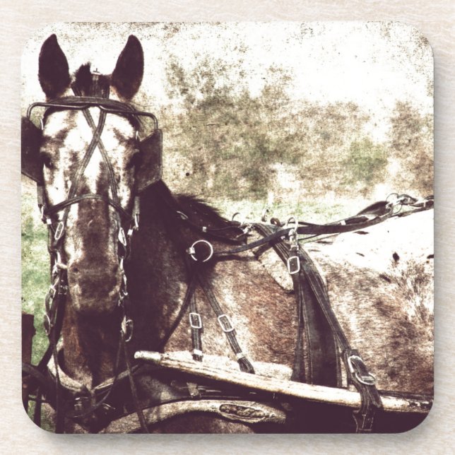 Appaloosa Horse Coaster (Front)
