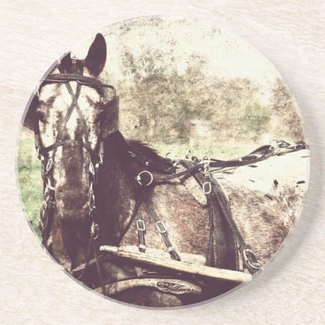 Appaloosa Horse Coaster (Front)