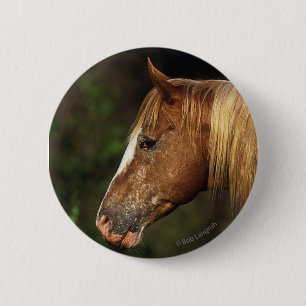 Appaloosa Horse Headshot 1 6 Cm Round Badge