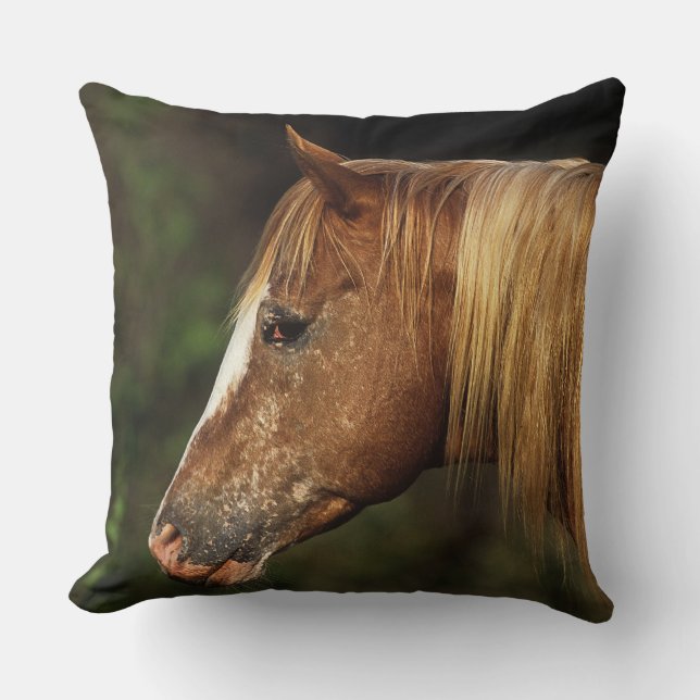 Appaloosa Horse Headshot 1 Cushion (Front)