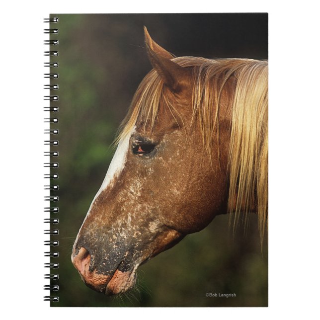 Appaloosa Horse Headshot 1 Notebook (Front)