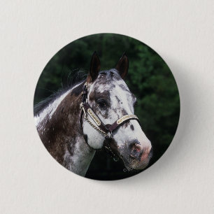 Appaloosa Horse Headshot 2 6 Cm Round Badge
