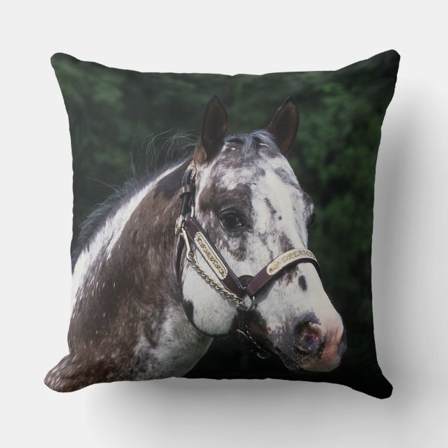Appaloosa Horse Headshot 2 Cushion (Front)