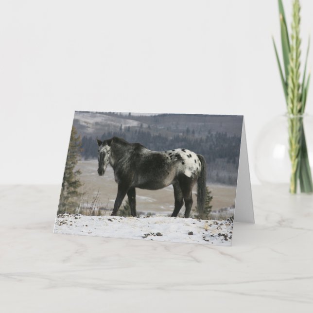 Appaloosa Horse in the Snow Card (Front)