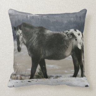 Appaloosa Horse in the Snow Cushion