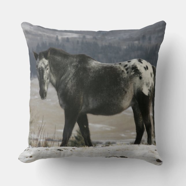 Appaloosa Horse in the Snow Cushion (Front)