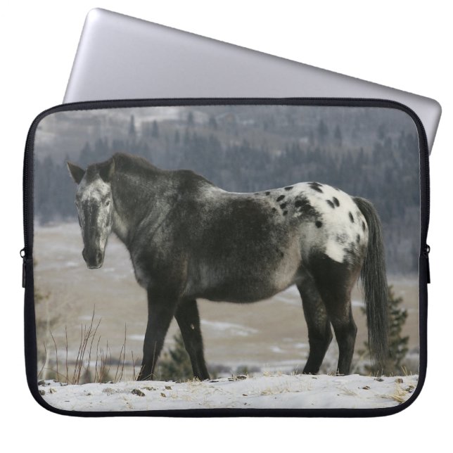 Appaloosa Horse in the Snow Laptop Sleeve (Front)