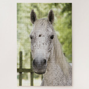 Appaloosa Horse Jigsaw Puzzle