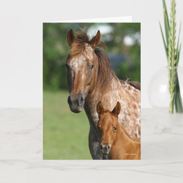 Appaloosa Horse Mare and Foal Headshot Card (Front)