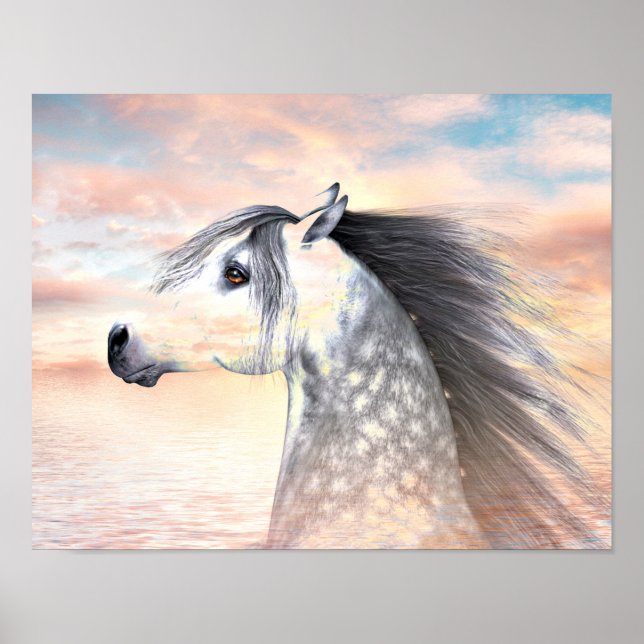 Appaloosa horse poster (Front)