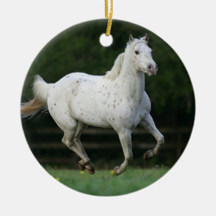 Appaloosa Horse Running 1 Ceramic Ornament