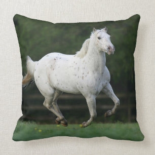Appaloosa Horse Running 1 Cushion