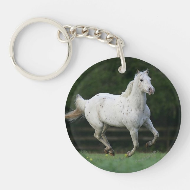 Appaloosa Horse Running 1 Key Ring (Front)