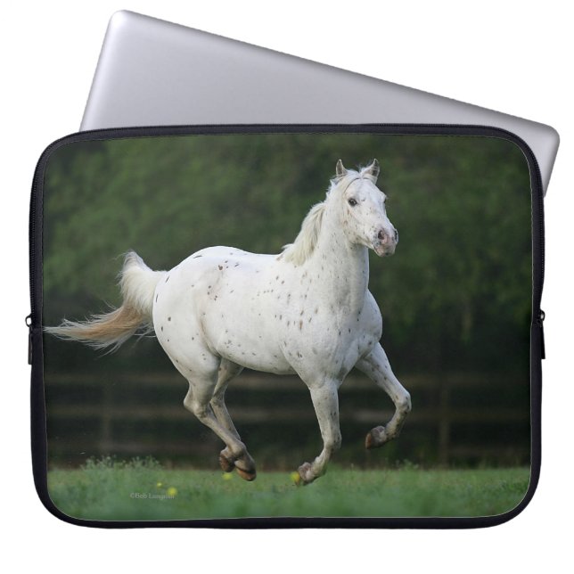 Appaloosa Horse Running 1 Laptop Sleeve (Front)