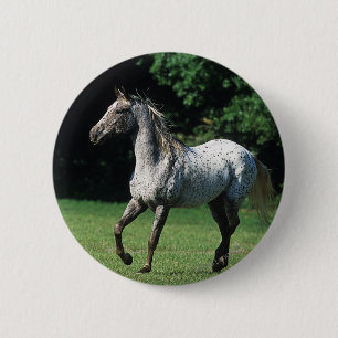 Appaloosa Horse Running 2 6 Cm Round Badge