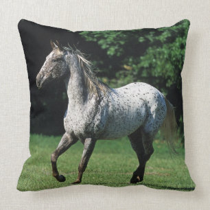 Appaloosa Horse Running 2 Cushion