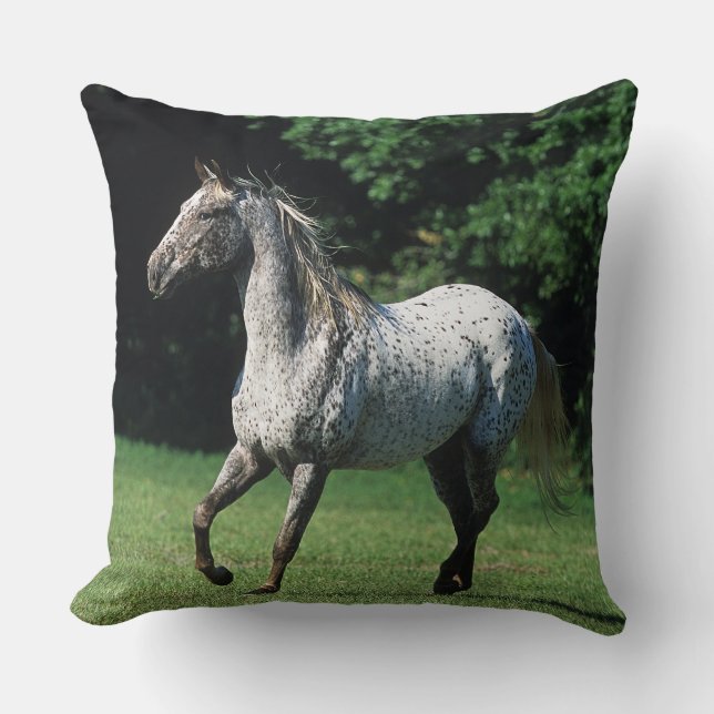 Appaloosa Horse Running 2 Cushion (Front)