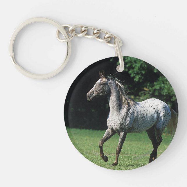 Appaloosa Horse Running 2 Key Ring (Front)