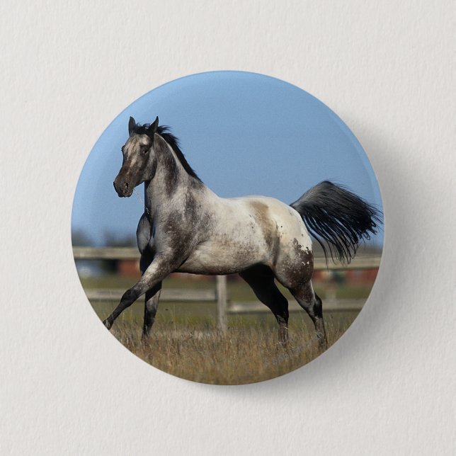 Appaloosa Horse Running 3 6 Cm Round Badge (Front)