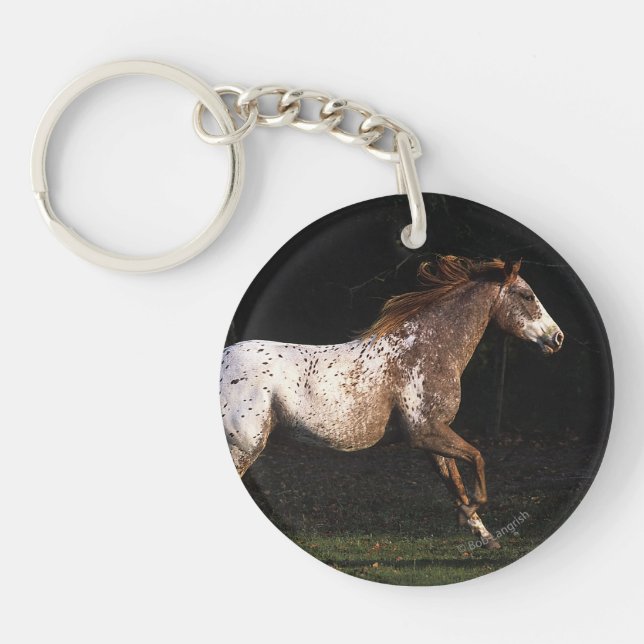 Appaloosa Horse Running 4 Key Ring (Front)