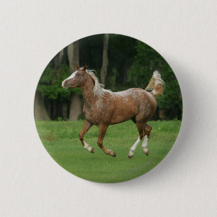 Appaloosa Horse Running 6 Cm Round Badge