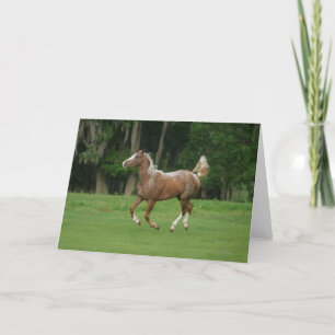 Appaloosa Horse Running Card