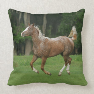 Appaloosa Horse Running Cushion