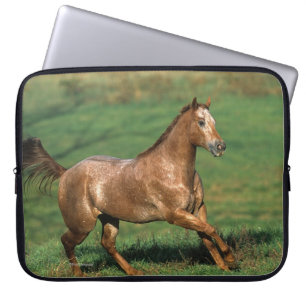 Appaloosa Horse Running in Grassy Field Laptop Sleeve