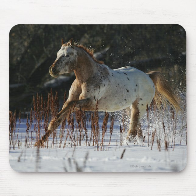 Appaloosa Horse Running in the Snow Mouse Pad (Front)
