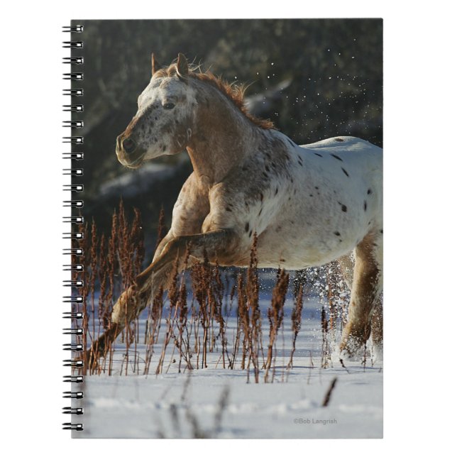 Appaloosa Horse Running in the Snow Notebook (Front)