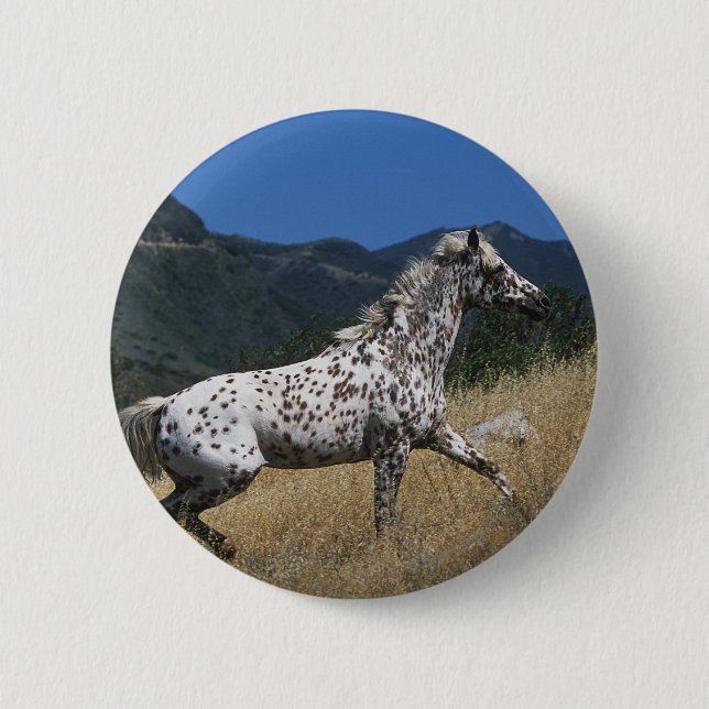 Appaloosa Horse Running up Mountain 6 Cm Round Badge (Front)