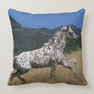 Appaloosa Horse Running up Mountain Cushion