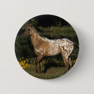 Appaloosa Horse Standing by Lake 6 Cm Round Badge