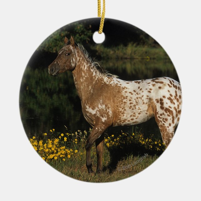 Appaloosa Horse Standing by Lake Ceramic Ornament (Front)