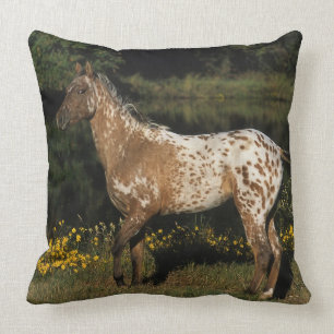 Appaloosa Horse Standing by Lake Cushion