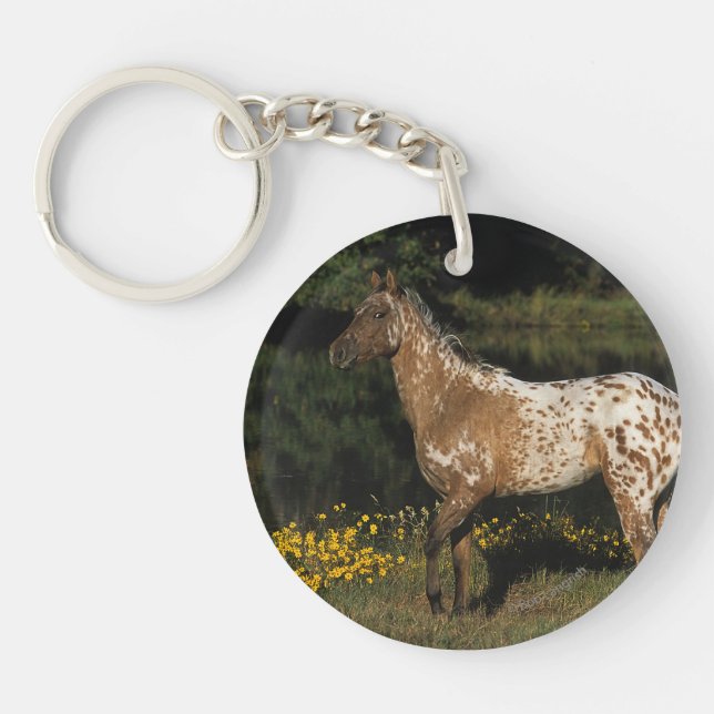 Appaloosa Horse Standing by Lake Key Ring (Front)