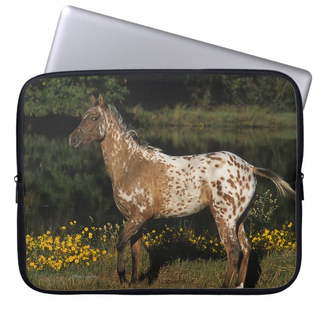 Appaloosa Horse Standing by Lake Laptop Sleeve (Front)