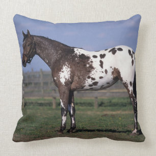 Appaloosa Horse Standing Cushion