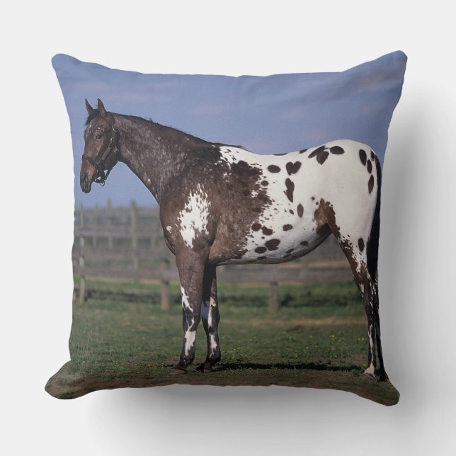 Appaloosa Horse Standing Cushion (Front)