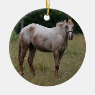 Appaloosa Horse Standing in the Grass Ceramic Tree Decoration