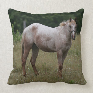 Appaloosa Horse Standing in the Grass Cushion