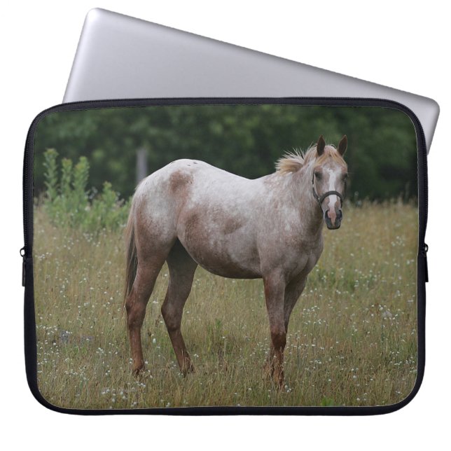 Appaloosa Horse Standing in the Grass Laptop Sleeve (Front)