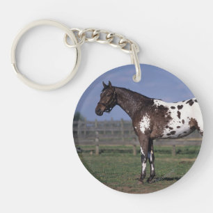 Appaloosa Horse Standing Key Ring