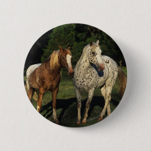 Appaloosa Horses 6 Cm Round Badge