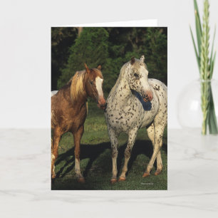 Appaloosa Horses Card