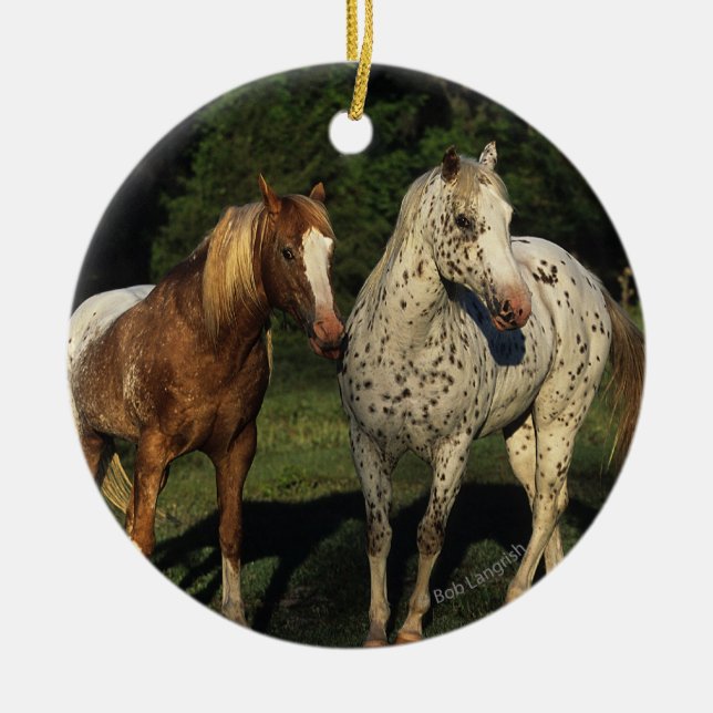 Appaloosa Horses Ceramic Tree Decoration (Front)