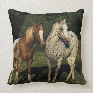 Appaloosa Horses Cushion