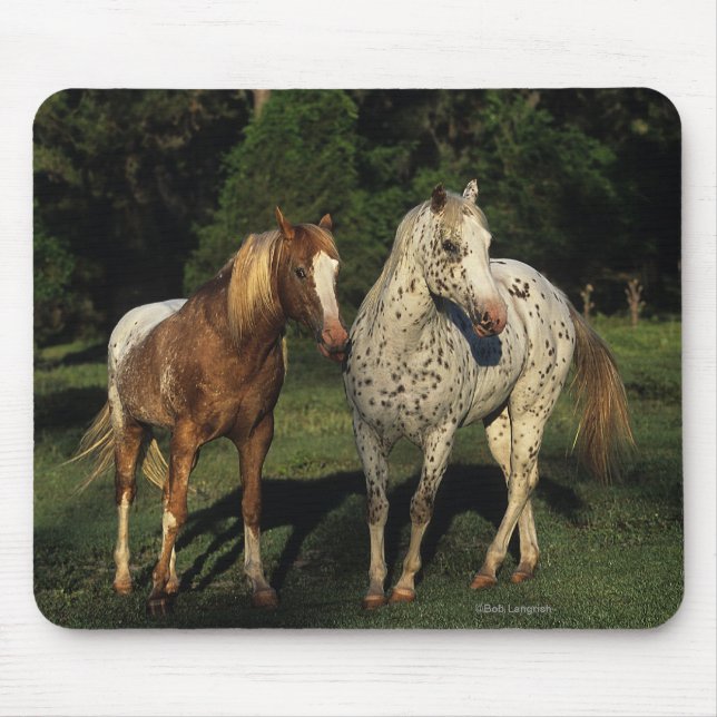 Appaloosa Horses Mouse Pad (Front)